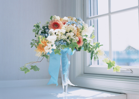 盆栽盆景瓶栽室内外花草图片