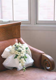 盆栽盆景瓶栽室内外花草图片