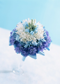 盆栽盆景瓶栽室内外花草图片