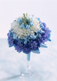 盆栽盆景瓶栽室内外花草图片