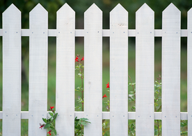 花艺园艺花草图片