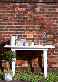 盆栽盆景瓶栽室内花草图片