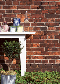 盆栽盆景瓶栽室内花草图片