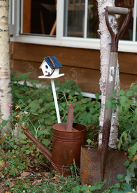 盆栽盆景瓶栽室内花草图片