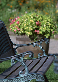 盆栽盆景瓶栽室内花草图片
