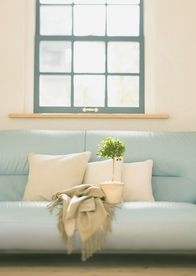 盆栽盆景瓶栽室内花草图片