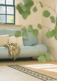 盆栽盆景瓶栽室内花草图片