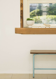 盆栽盆景瓶栽室内花草图片