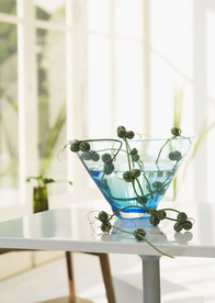 盆栽盆景瓶栽室内花草图片