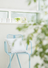 盆栽盆景瓶栽室内花草图片