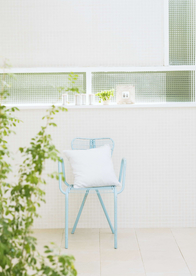 盆栽盆景瓶栽室内花草图片