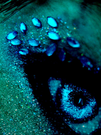 眼妆眼睛彩色眼妆图片