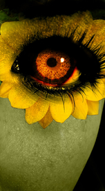 眼妆眼睛彩色眼妆图片