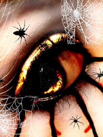 眼妆眼睛彩色眼妆图片