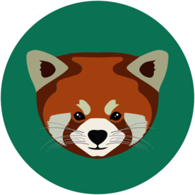 浣熊动物图标标志图形装饰素材