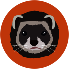 浣熊动物图标标志图形装饰素材