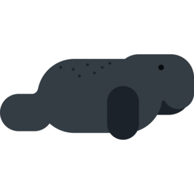 海豹动物标志图形图标装饰素材