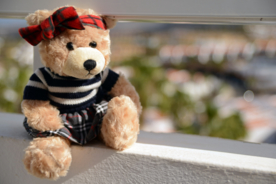 玩具熊泰迪熊毛绒玩具图片