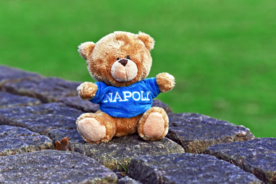 玩具熊泰迪熊毛绒玩具图片