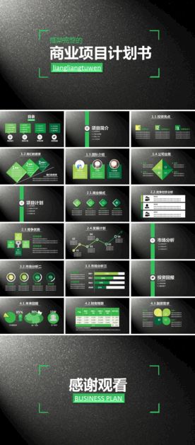 商业项目计划书