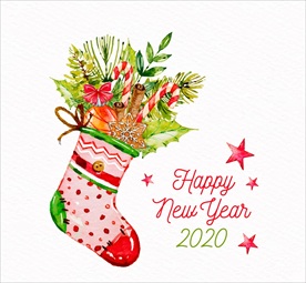 装满植物的圣诞袜