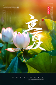 立夏节气古风传统复古中国风海报