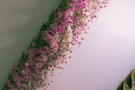 干花捧花瓶花插花图片