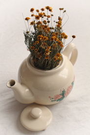 干花捧花瓶花插花图片