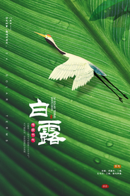 白露古风复古插画高端传统海报