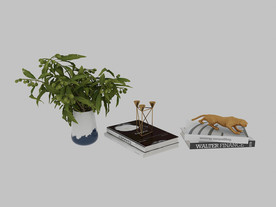 植物书本3d模型