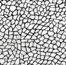 皮纹 皮革高清素材