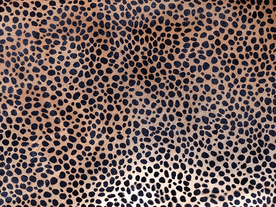 皮纹 皮革高清素材