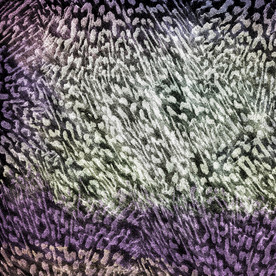 创意星空合成海报