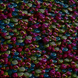 创意星空合成海报