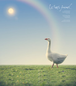 简约创意小清新手绘插画海报图