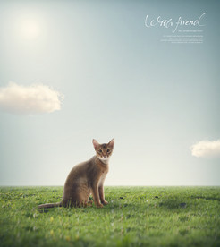 简约创意小清新手绘插画海报图片