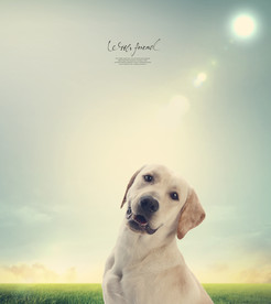 简约创意小清新手绘插画海报图片