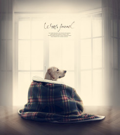 简约创意小清新手绘插画海报图