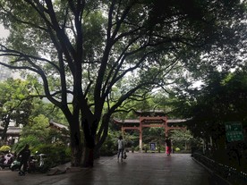 杭州半山国家森林公园主入口