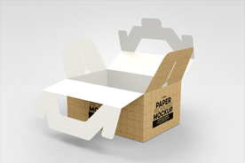 纸盒样机