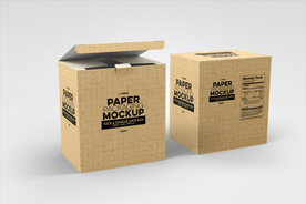 纸盒样机