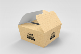 纸盒样机
