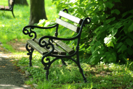 长椅坐垫椅子凳子图片