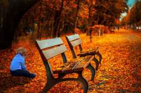 长椅坐垫椅子凳子图片