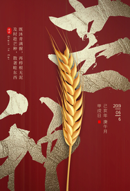 芒种传统节气复古古风国风