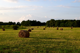 草垛麦草垛稻草垛图片