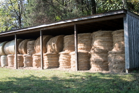 草垛麦草垛稻草垛图片
