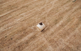 草垛麦草垛稻草垛图片