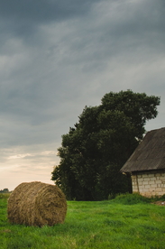 草垛麦草垛稻草垛图片