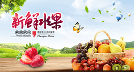 水果展板